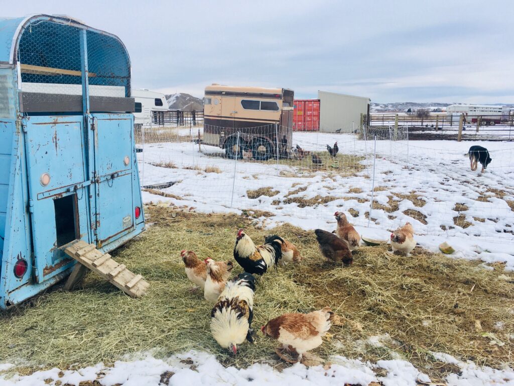 trailer coop