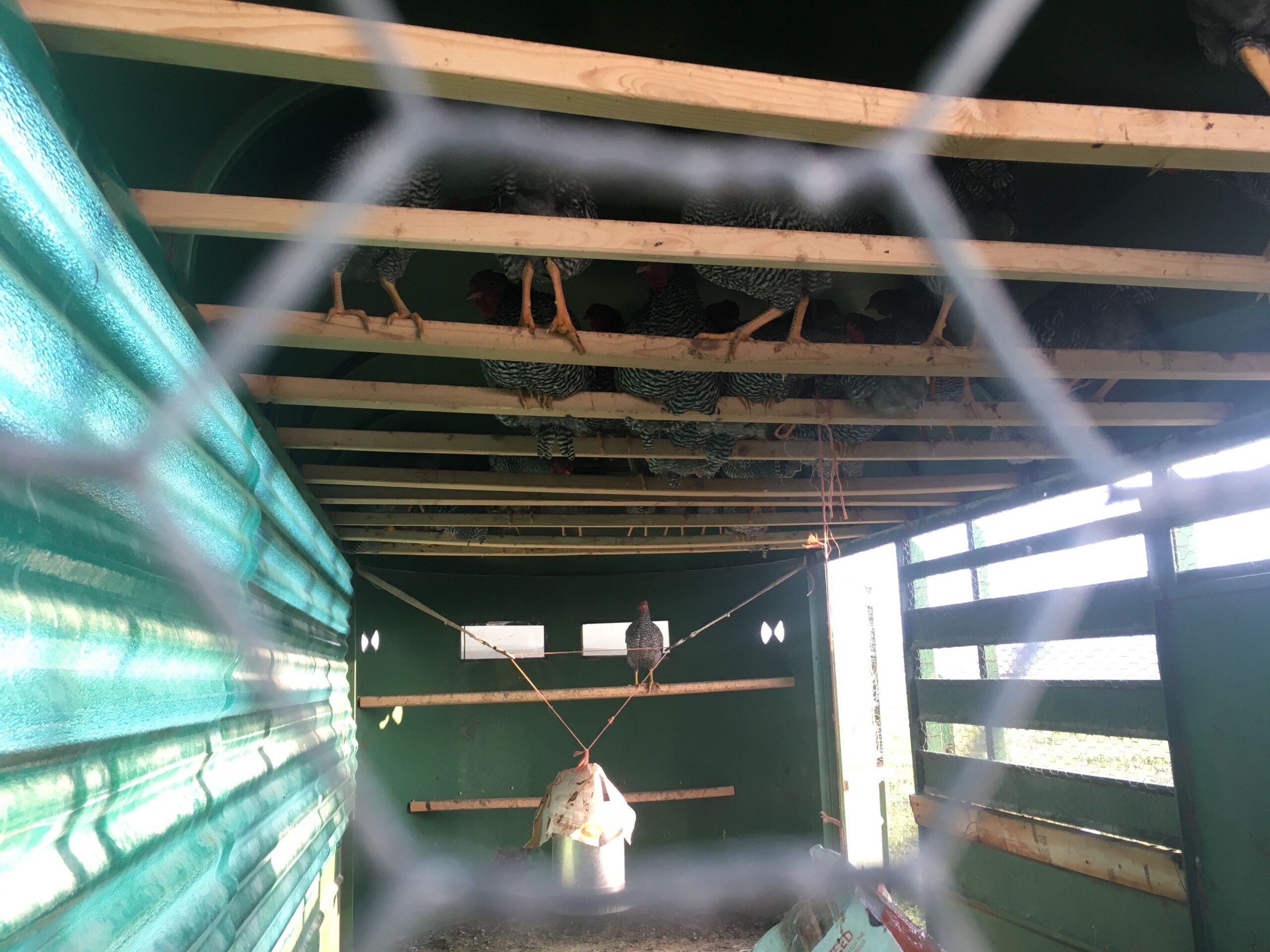 trailer coop
