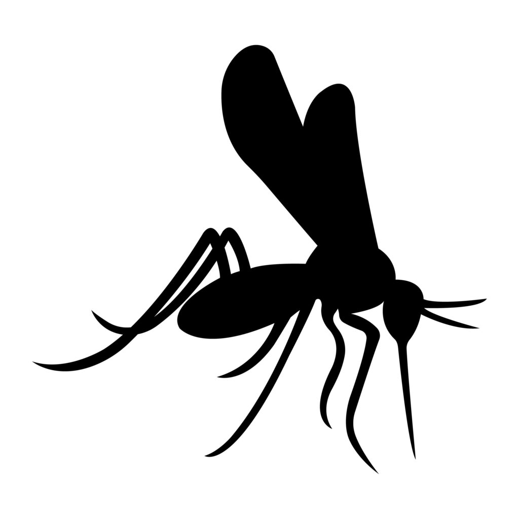 west nile virus