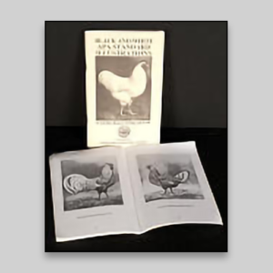Black and White Standard Illustrations