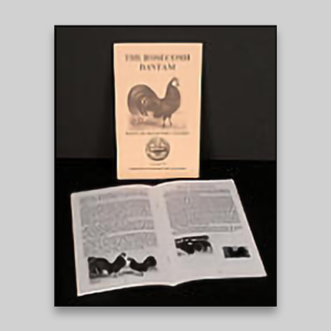 The Rosecomb Bantam