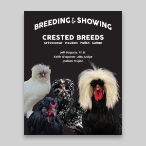 Breeding and Showing Crested Breeds: Crevecoeur, Houdan, Polish, Sultan
