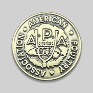 APA 2025 pin