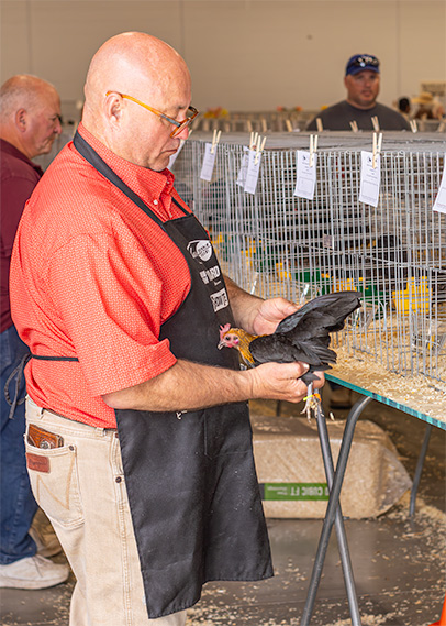 Bird Breeders of Idaho Judge Bird Breeders of Idaho